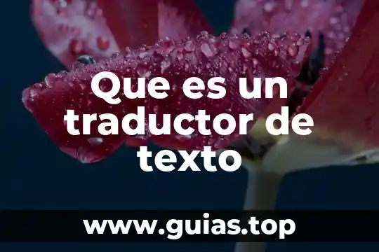 Que es un traductor de texto