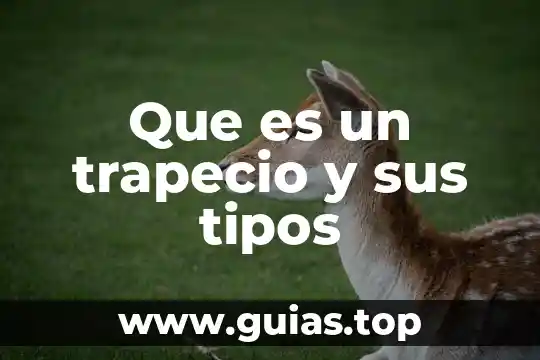 Célula que es que hace partes tipos 6 Que es un trapecio y sus tipos