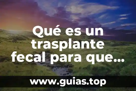 Qué es la búsqueda fonética para qué sirve 6 Qué es un trasplante fecal para que sirve