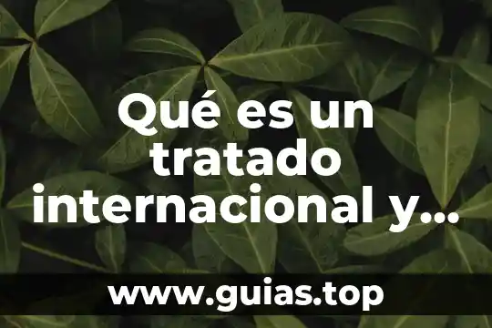 Qué es la libertad y cuáles son sus límites 3 Qué es un tratado internacional y cuáles son sus elementos