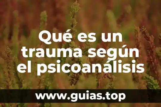 Según el psicoanálisis que es el sujeto 6 Qué es un trauma según el psicoanálisis