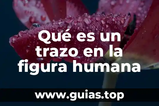 Qué es comunicación humana 8 Qué es un trazo en la figura humana