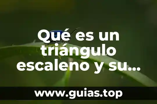Que es ser abogado por un abogado 6 Qué es un triángulo escaleno y su dibujo