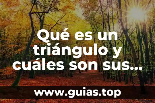 Que es un memorandum y cuales son sus caracteristicas 7 Qué es un triángulo y cuáles son sus elementos