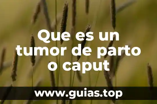 Que es sala de parto 3 Que es un tumor de parto o caput