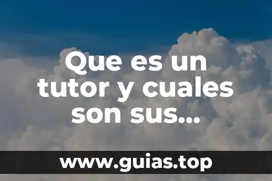 Qué es un disco duro y cuáles son sus tipos 4 Que es un tutor y cuales son sus funciones