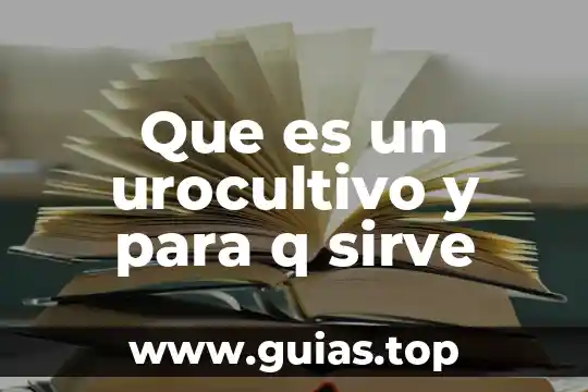 Que es un anaque l y tipos de anaqueles 3 Que es un urocultivo y para q sirve