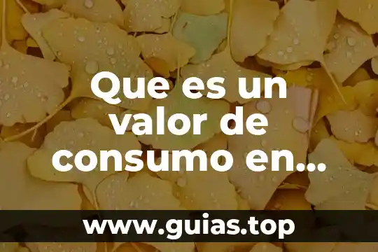 Que es el gasto de consumo personal 5 Que es un valor de consumo en marketin scrib