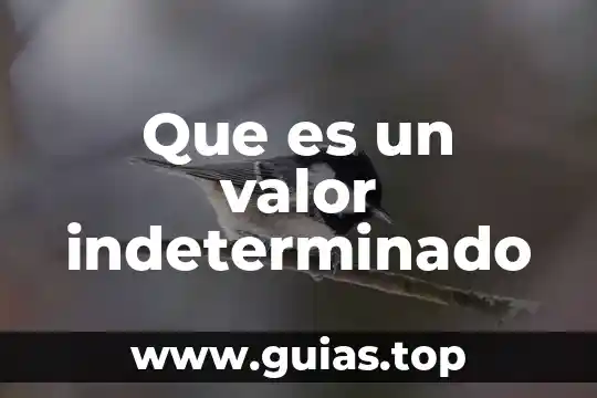 Cadena de valor de una empresa que es 4 Que es un valor indeterminado