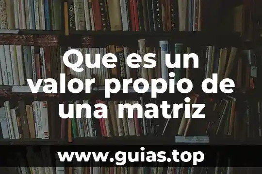 Que es la libertad es un valor 8 Que es un valor propio de una matriz