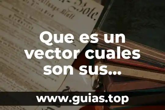 Qué es una señal analógica y cuáles son sus características 5 Que es un vector cuales son sus caracteristicas