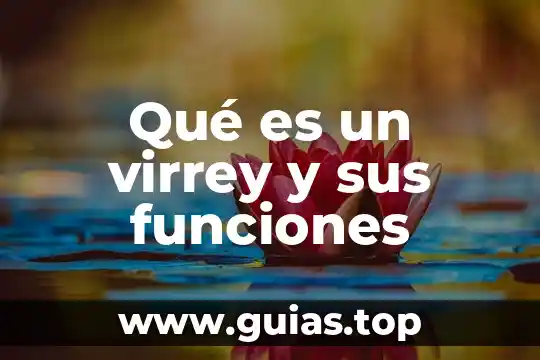 Bordo agua que es 7 Qué es un virrey y sus funciones