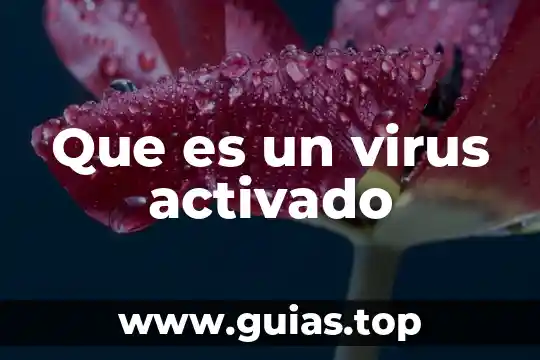 Qué es virus bacterias microorganismos protozoa y sus tipos 6 Que es un virus activado