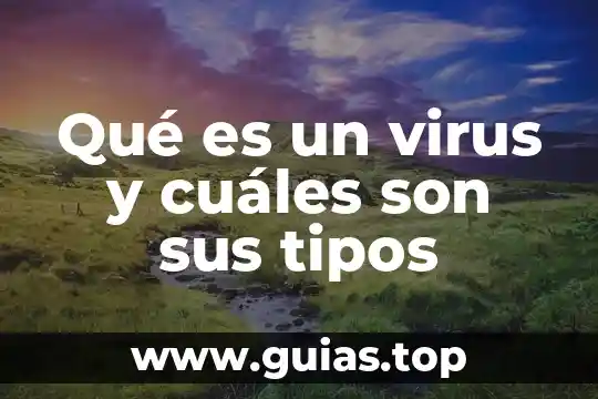 Qué es URL y cuáles son sus elementos 3 Qué es un virus y cuáles son sus tipos