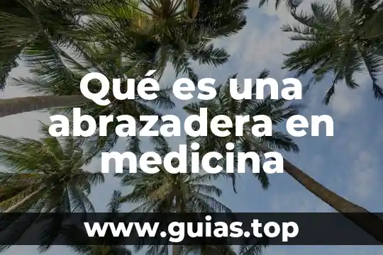 Que es t3 y t4 en medicina 3 Qué es una abrazadera en medicina