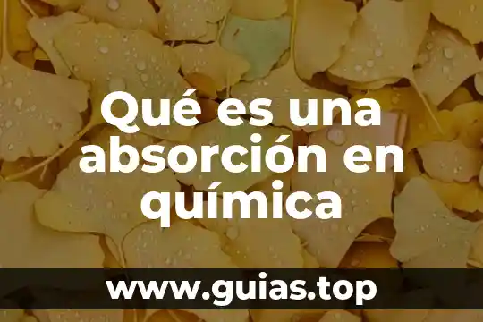 Que es la estructura quimica de un compuesto 4 Qué es una absorción en química