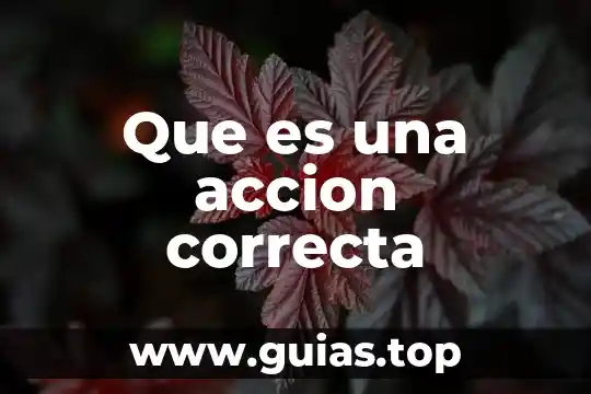 Forma correcta de amamantar imss de que es lactancia imss 3 Que es una accion correcta