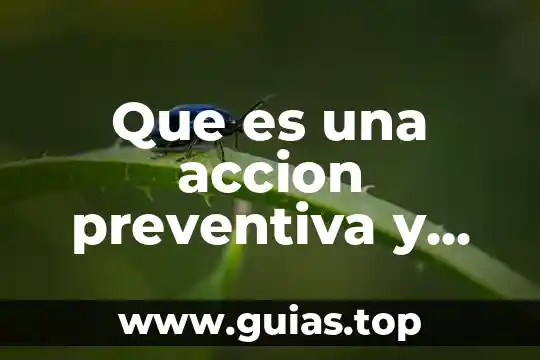 Qué es el concepto de equilibrio 5 Que es una accion preventiva y como se aplica