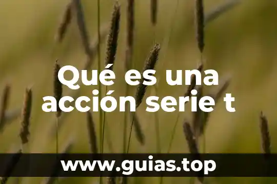 Qué es el número de serie de una computadora 5 Qué es una acción serie t