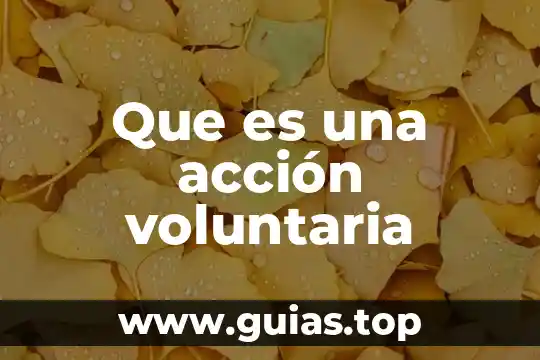 Que es el mapa de sol o flor 6 Que es una acción voluntaria