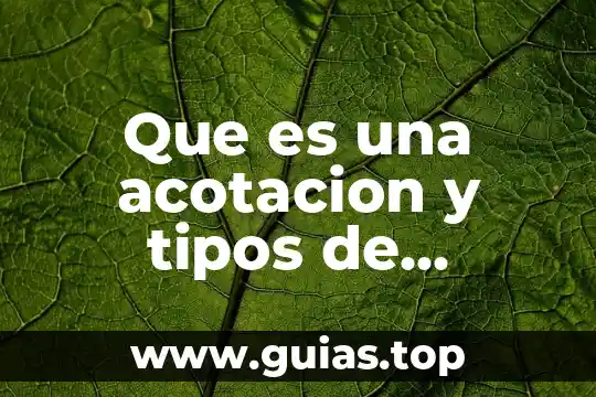 Que es un plan de implementacion en una empresa 6 Que es una acotacion y tipos de acotaciones