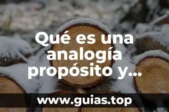 Que es proposito de autor 4 Qué es una analogía propósito y ejemplos