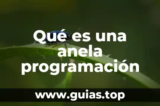 Que es ser análogos 7 Qué es una anela programación