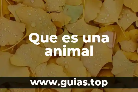Que es un animal raptor 6 Que es una animal