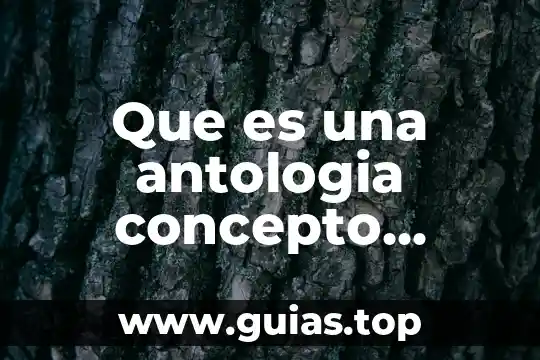 Qué es la antología de los cuentos 6 Que es una antologia concepto filosofico