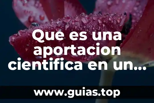 Que es el protocolo http caracteristicas 7 Que es una aportacion cientifica en un protocolo de tesis
