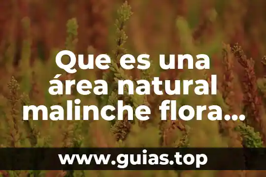 Río que es límite natural entre México y Guatemala 6 Que es una área natural malinche flora y fauna