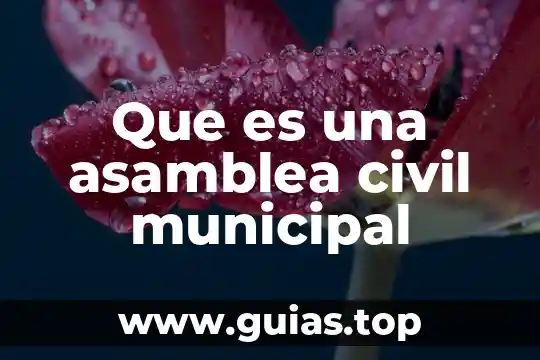 Que es una soiedad civil 3 Que es una asamblea civil municipal