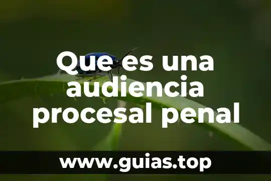 Para que es la audiencia de control de la detencion 6 Que es una audiencia procesal penal