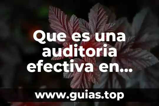 Que es el servicio extendido de proveedor de pemex 5 Que es una auditoria efectiva en pemex