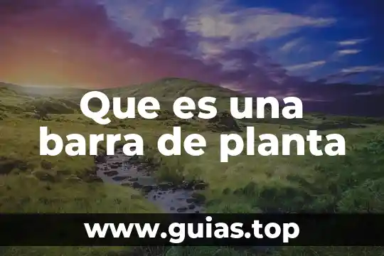 Barra de herramientas en word 2007 que es 6 Que es una barra de planta
