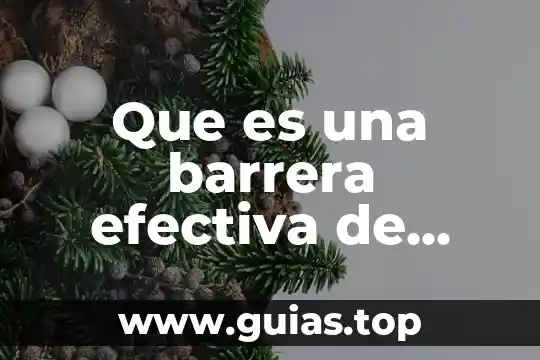 Qué es taza donimal y efectiva 6 Que es una barrera efectiva de comunicación