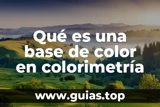 Que es un componente de base superficial 4 Qué es una base de color en colorimetría