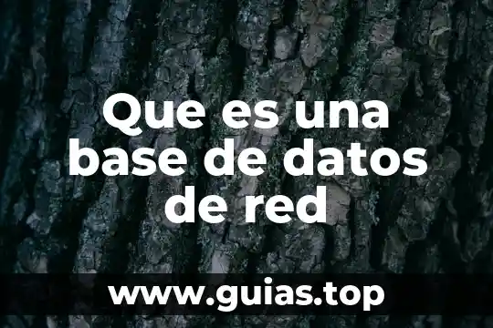Que es depurar base de datos 7 Que es una base de datos de red