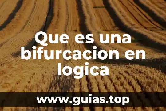 Representar con imágenes que es la lógica 5 Que es una bifurcacion en logica