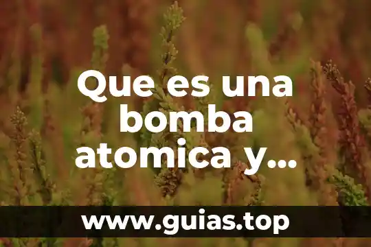 Qué es un virus y cuáles son sus tipos 5 Que es una bomba atomica y cuales son sus consecuencias