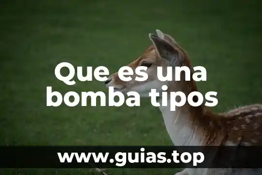 Que es bomba de tiempo 8 Que es una bomba tipos