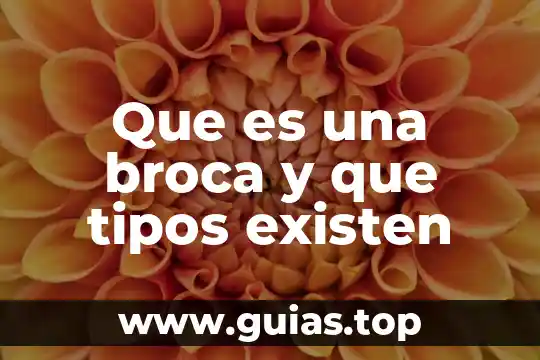 Que es una licitacion y tipos de licitación en compras 4 Que es una broca y que tipos existen