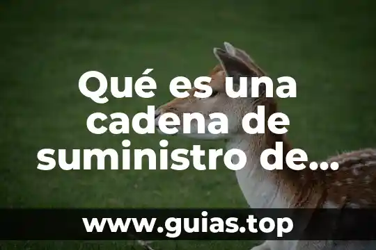 Que es suministro y sanemiento de agua 6 Qué es una cadena de suministro de bajo costo