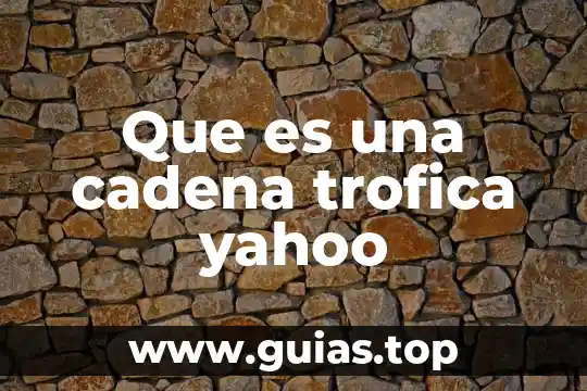 Que es cadena alimenticia considerando como parte esencial al sol 7 Que es una cadena trofica yahoo