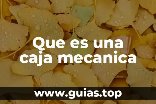 Que es pmi en mecanica 7 Que es una caja mecanica
