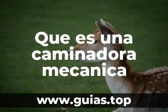 Que es una caja mecanica 6 Que es una caminadora mecanica