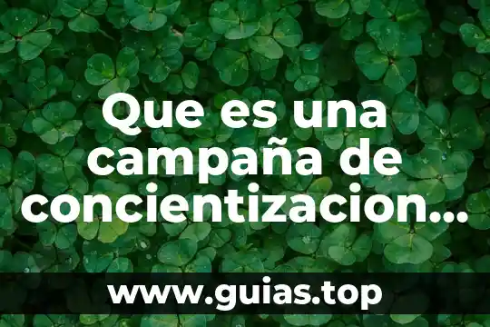 Que es hacer campaña politica 6 Que es una campaña de concientizacion social