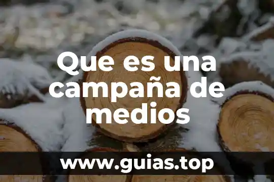 Que es hacer campaña politica 3 Que es una campaña de medios