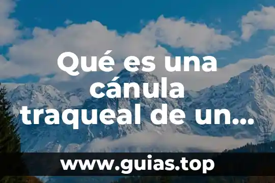 Para un niño que es luna 5 Qué es una cánula traqueal de un niño