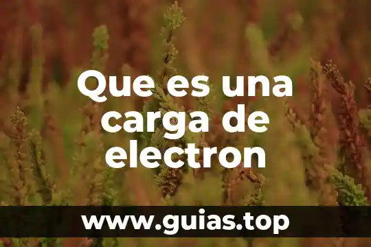 Que es carga por contacto ejemplos 5 Que es una carga de electron